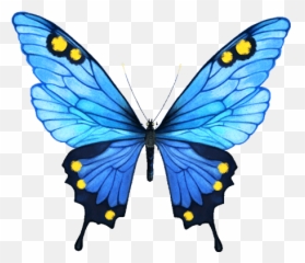 Free Blue Butterfly Images Download Free Clip Art Free - Green Butterfly Emoji,Blue Butterfly Emoji