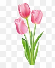 Pink Tulips Png Clipart Image - Pink Tulips Png Emoji,Tulip Emoji