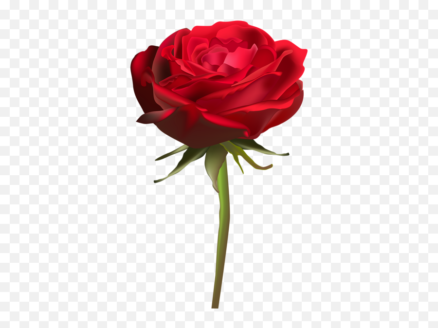 Png Clipart Rose Emoji Png,Dead Rose Emoji