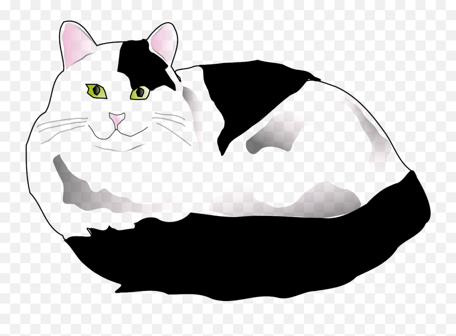Cat Black White Fluffy Feline Emoji,Yawn Emoji Iphone