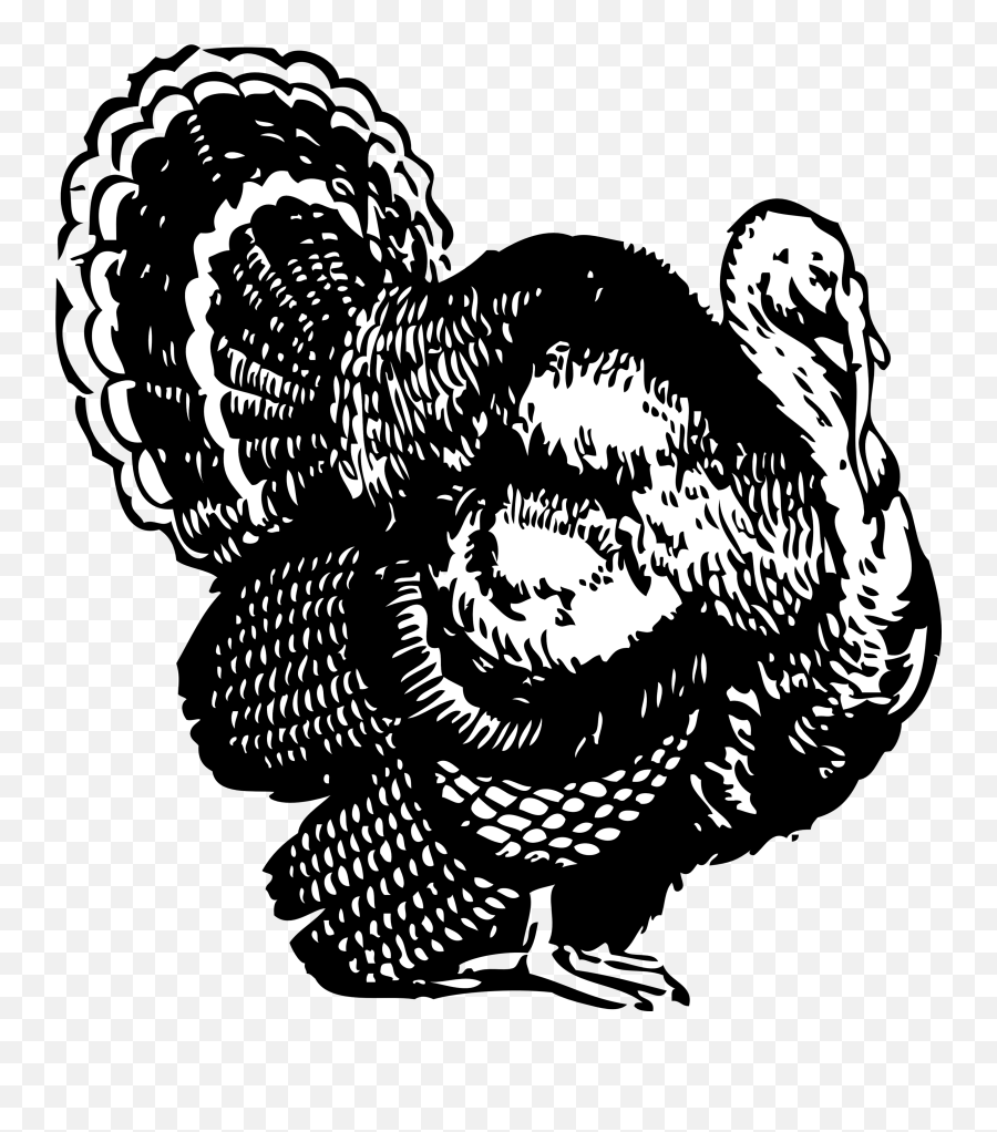 Black And White Turkey Drawing At Getdrawings Free Download - Turkey Clipart Black And White Emoji,Dancing Turkey Emoji