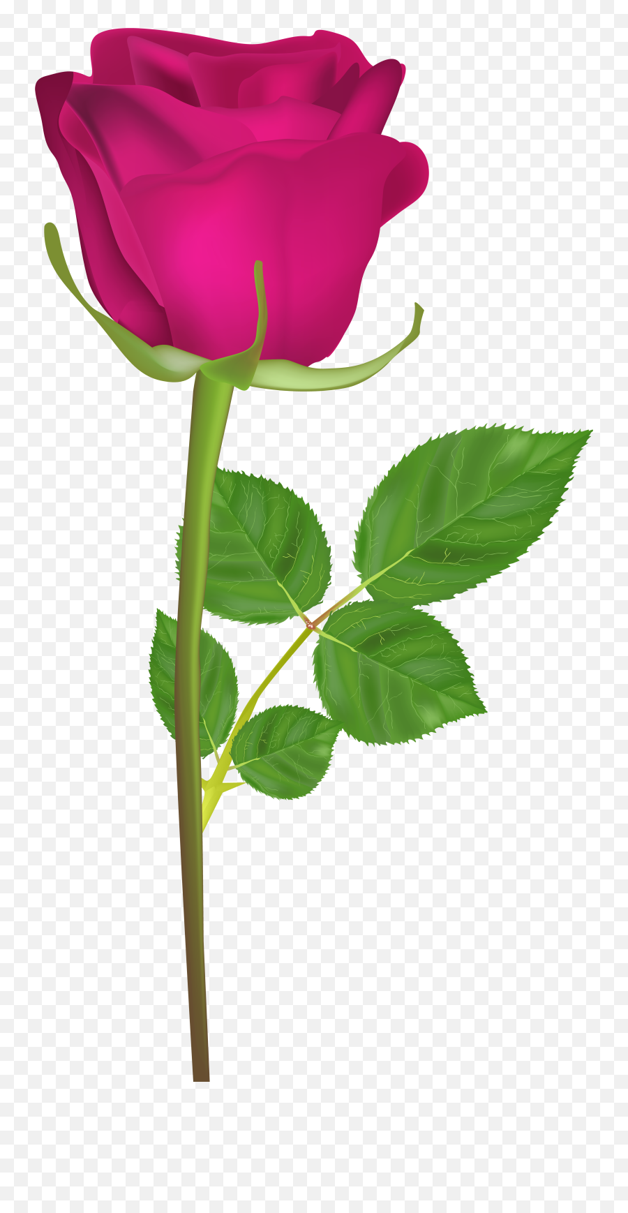 Stem Rose Clipart - Gulab Ka Phool Hd Emoji,Wilted Rose Emoji
