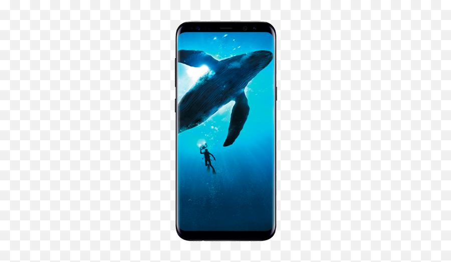 Black Galaxy S8 Mobile Katariya Top Mobiles 7 Accessories - Samsung Galaxy S8 Price In India Emoji,Samsung Galaxy S8 Emojis