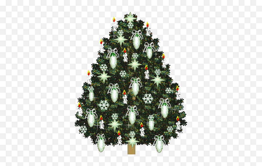 Christmas Trees Beautiful Picture With Christmas Trees - Christmas Tree Emoji,Christmas Tree Emoticons