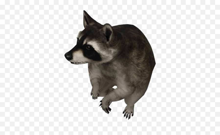 Kumar Janglu We Believe In Technology - Raccoon 3d Google Emoji,Oriole Emoji
