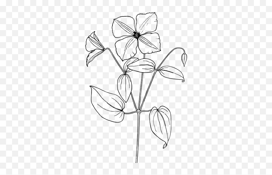 Drawing Of Clematis - Sampaguita Flower Drawing Easy Emoji,Elephant Emoji