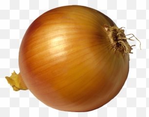 Face Clipart Onion Face Onion Transparent Free For Download - Onion Gif Transparent Background Emoji,Onion Emoji