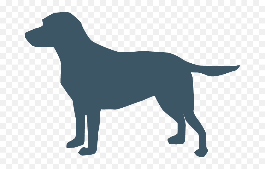 Png American Pit Bull Terrier - Dog Icon Blue Emoji,Pit Bull Emoji