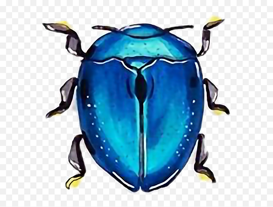 Beetle Beetles Beetlejuice Freetoedit - Leaf Beetle Emoji,Beetle Emoji