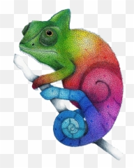 Chameleon Freetoedit - Sticker By Tigressa Sanchez Color Dibujos De Camaleones Emoji,Chameleon Emoji