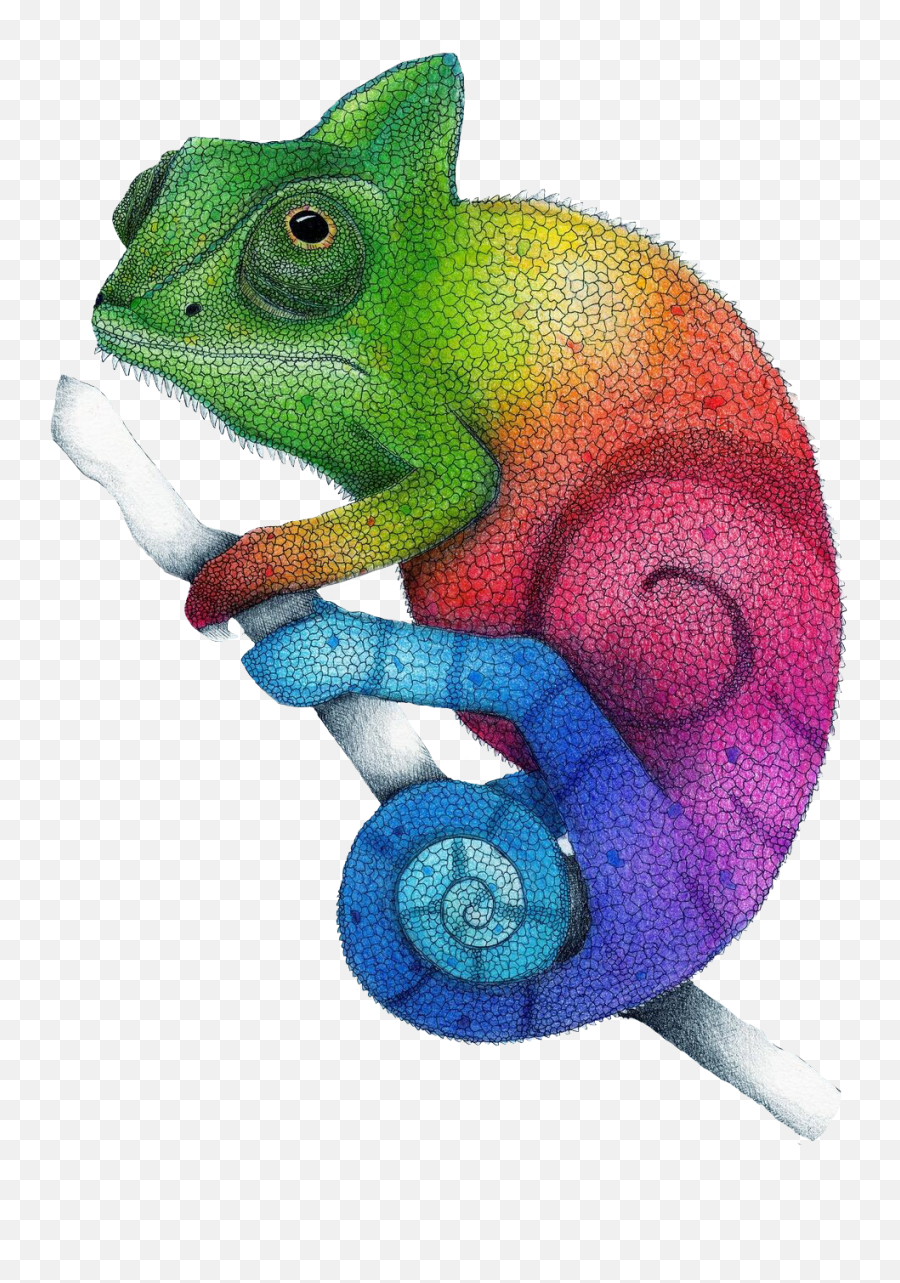 Chameleon Freetoedit - Sticker By Tigressa Sanchez Color Dibujos De Camaleones Emoji,Chameleon Emoji