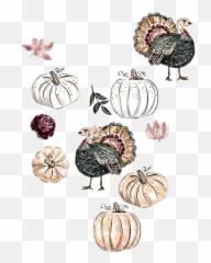 Thanksgiving Turkey Pumpkin Pumpkins - Illustration Emoji