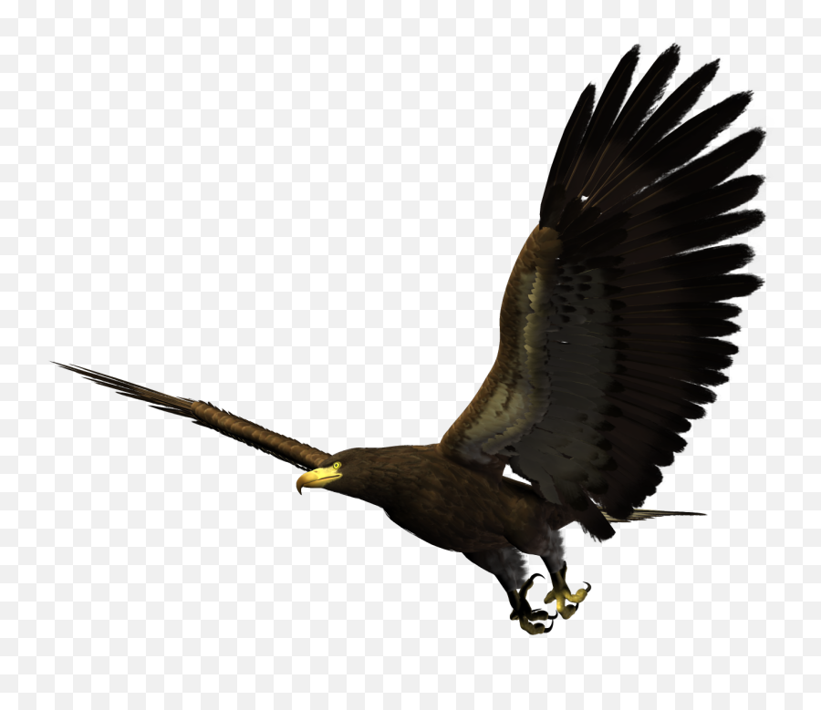 Png Free Hawk Flying - Eagle Flying Png Hd Emoji,Eagle Emoji Android