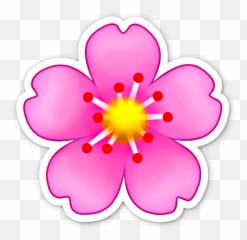 Sticker Peacock Feathers - Flower Emoji Png Transparent Background,Cherry Blossom Emoji