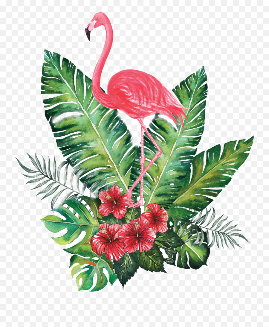 Diseña Bonito - Hereina Pintura Flamenca Pintura De Flamingo Png Emoji,Flamenca Emoji