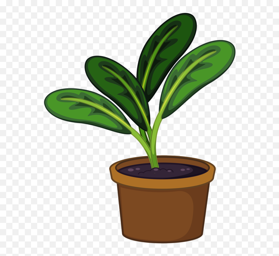 Plant Potted Plant Transparent - Pot Plant Png Clipart Emoji,Potted Plant Emoji