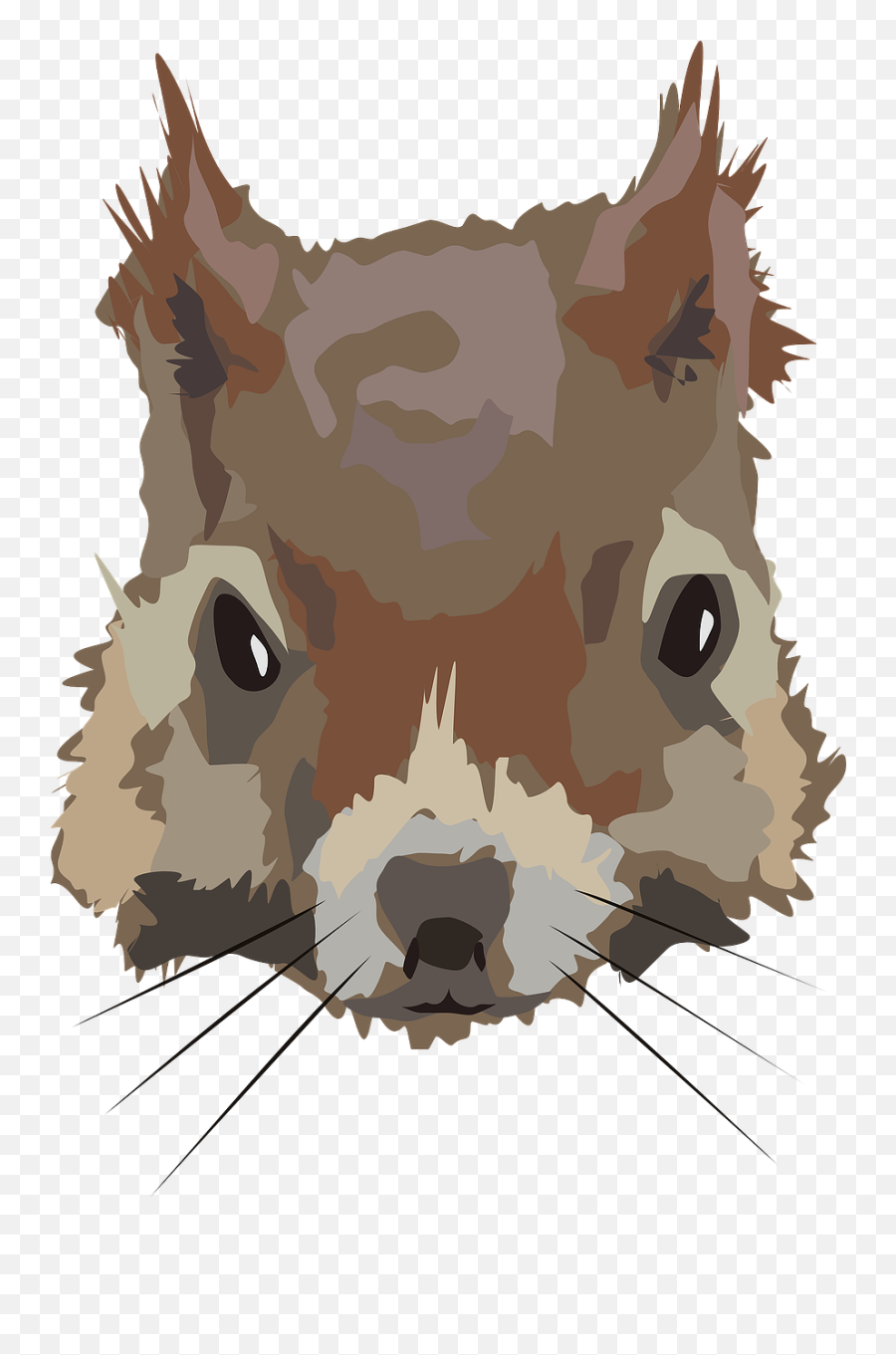 Squirrel Head Face Animal Mammal - Squirrel Face Png Emoji,Raccoon Emoji Copy