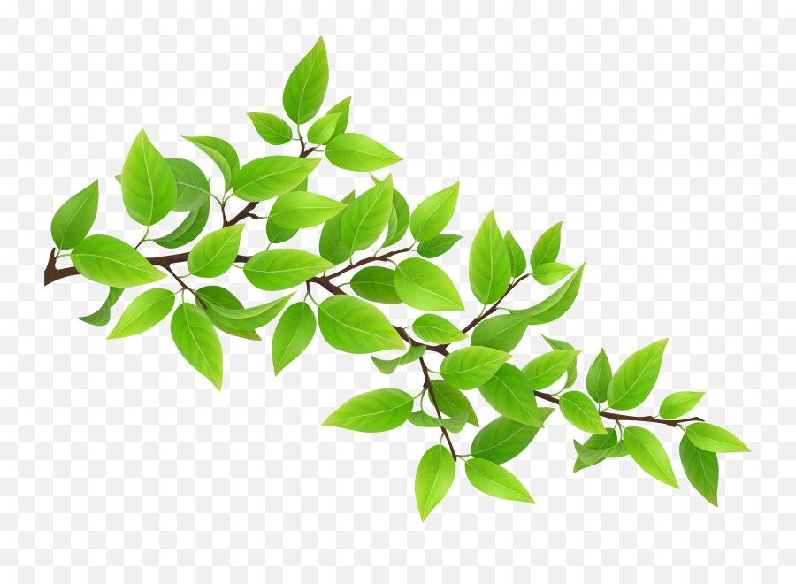 Green Branch Transparent Clip Art Image Gallery Yopriceville - Leaf Branch Png Emoji,Branch Emoji