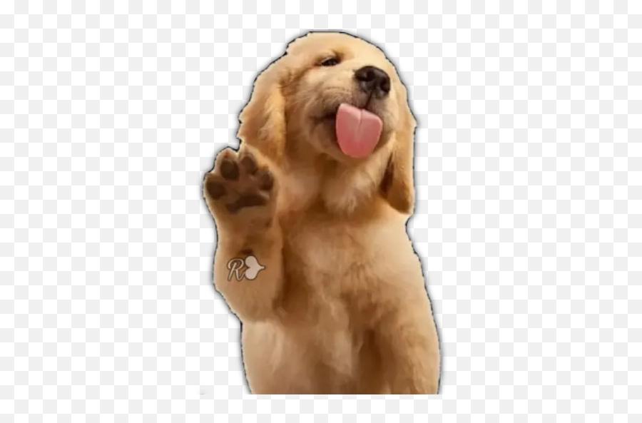 Dogs 1 Stickers For Whatsapp - Redbubble Stickers Animals Emoji,Golden Retriever Emoji