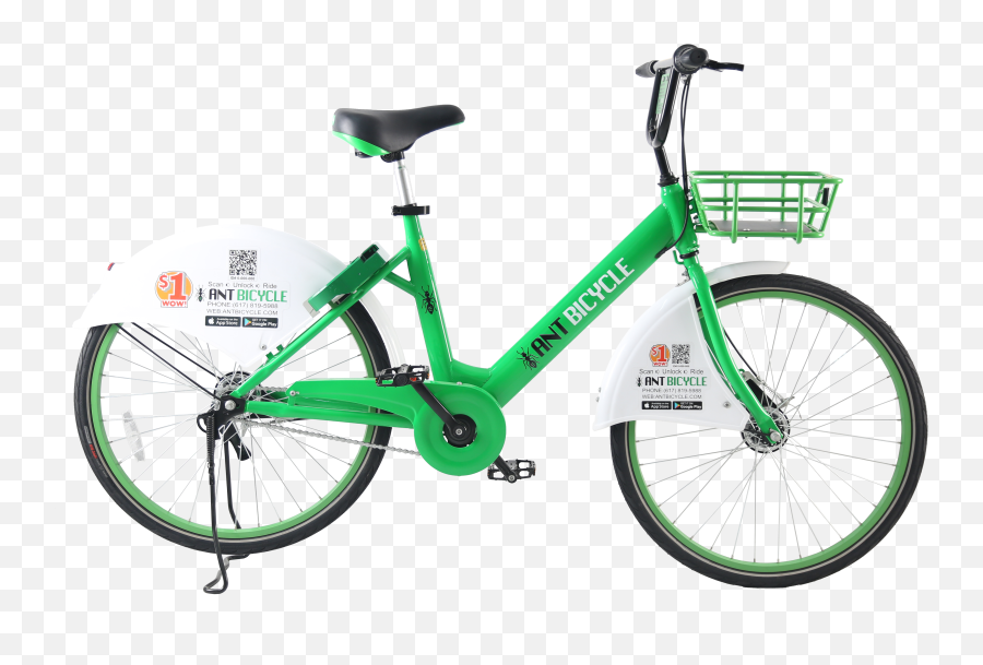 Folkspaper - Is Ant Bicycle A Scam China Mtb Bike Emoji,Ant Emoji