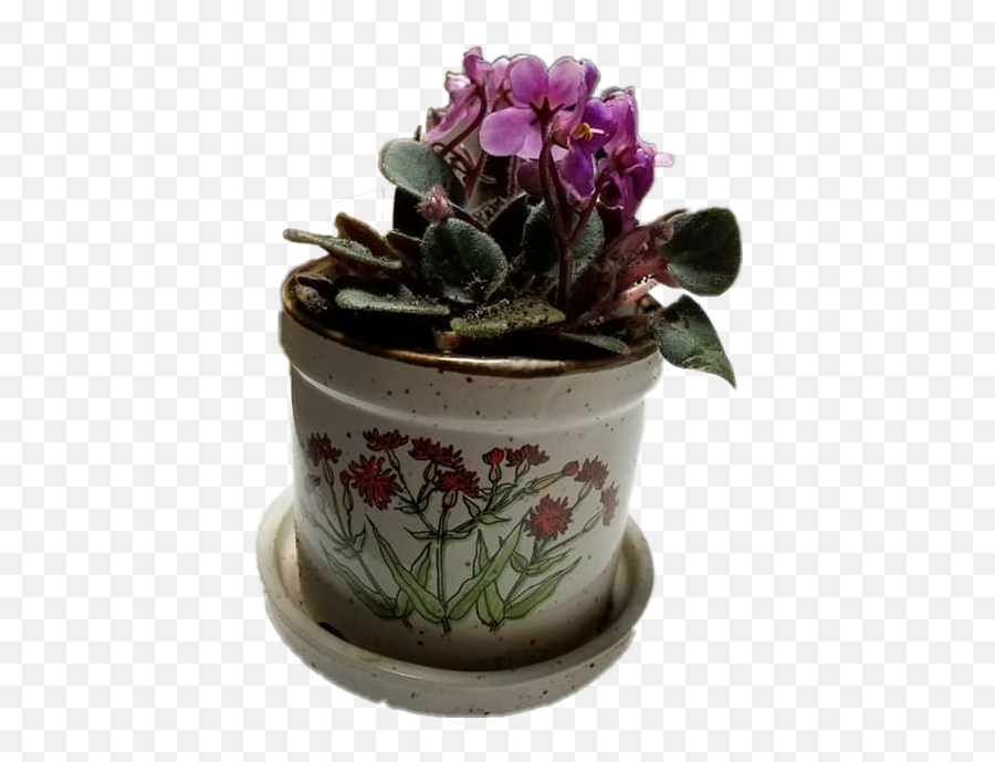 Potted Plant - Cyclamen Emoji,Potted Plant Emoji