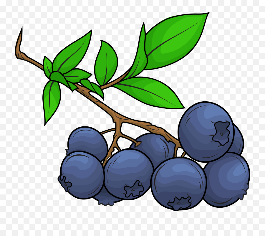 Blueberry Clipart - Fresh Emoji,Blueberry Emoji