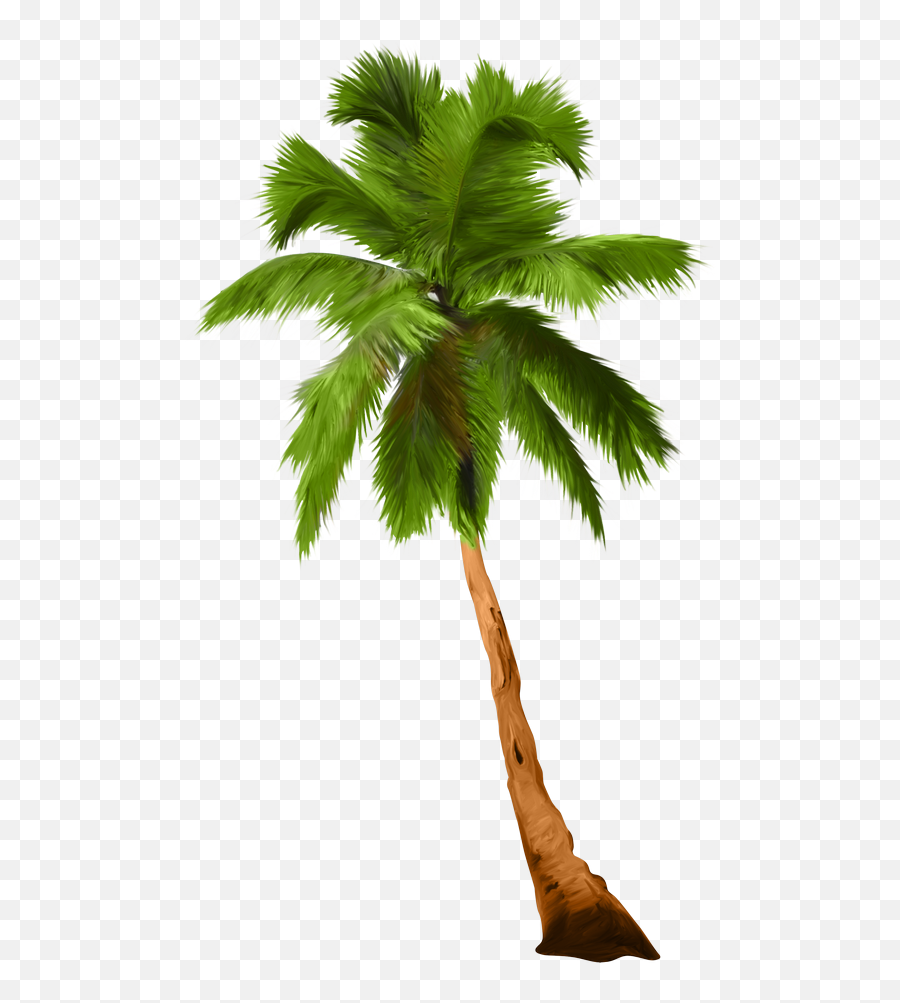 Palm Tree Hawaiian - Borassus Emoji,Palm Tree Emoji Png