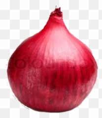 Popular And Trending Onion Stickers - Red Onion Emoji,Onion Emoji