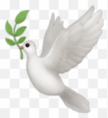 Emoji Emojis Bird Dove - Dove Emoji,Bird Emoji