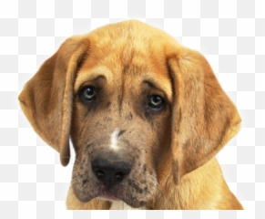 Sad Png And Vectors For Free Download - Droopy Puppy Eyes Emoji