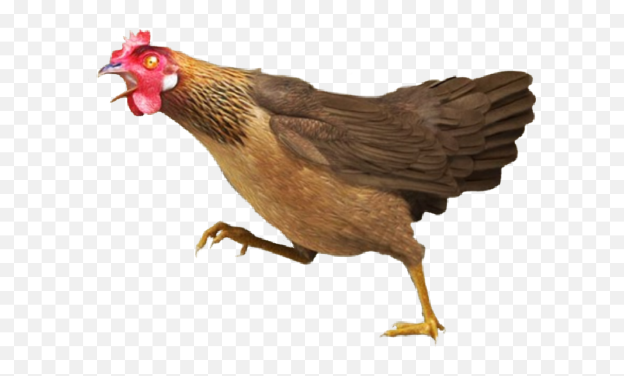 And Trending Chicken - Rooster Emoji,Hand Rooster Emoji