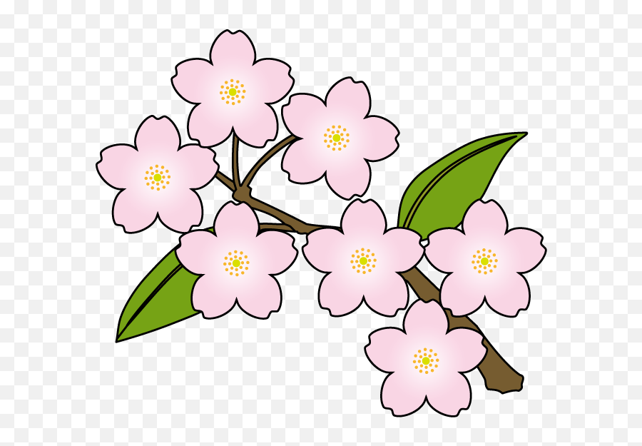 Tweet Twitter Bird Cherry Blossom Pink Xochiinfo Dingle - Sakura Flowers Clip Art Emoji,Sakura Flower Emoji