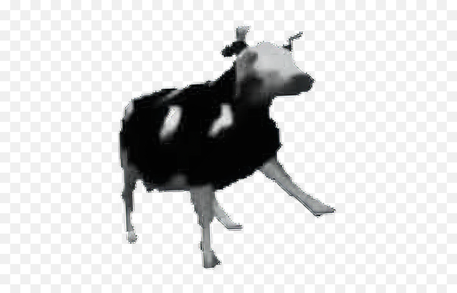 Cow Emojis - Polish Cow,Emoji Cow