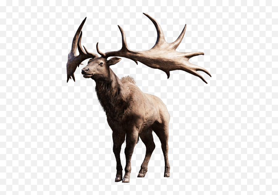 Moose Elk Png - Far Cry Primal Animais Emoji,Deer Hunting Emoji