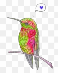 Hummingbirds Stickers For Whatsapp - Colibri Esticker Emoji,Hummingbird Emoji