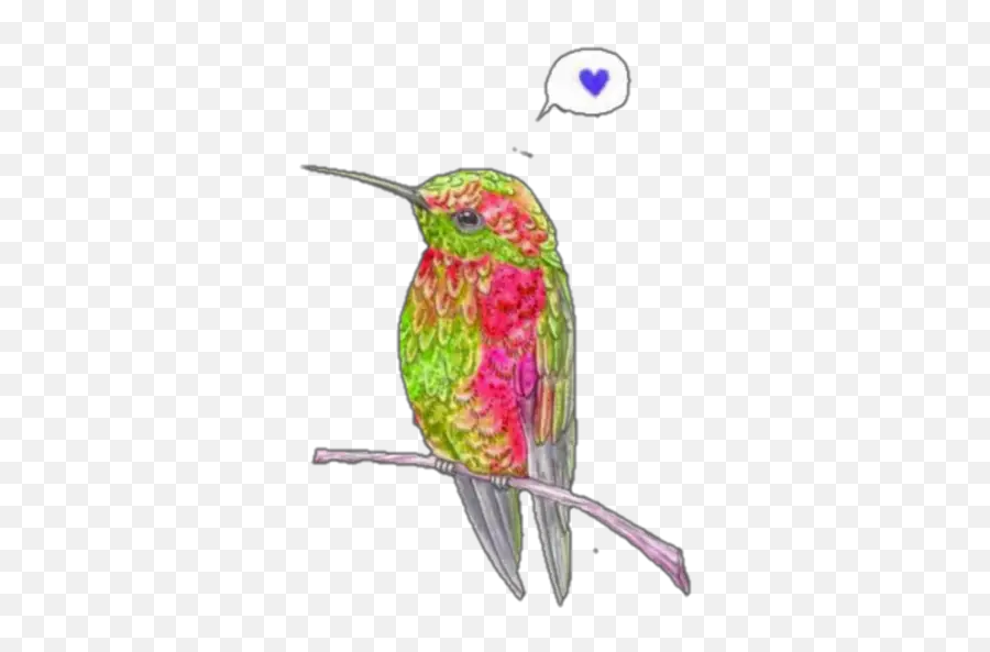 Hummingbirds Stickers For Whatsapp - Colibri Esticker Emoji,Hummingbird Emoji