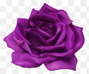 Lavender Purple Rose Png u0026 Free Rosepng - Transparent Roses Emoji