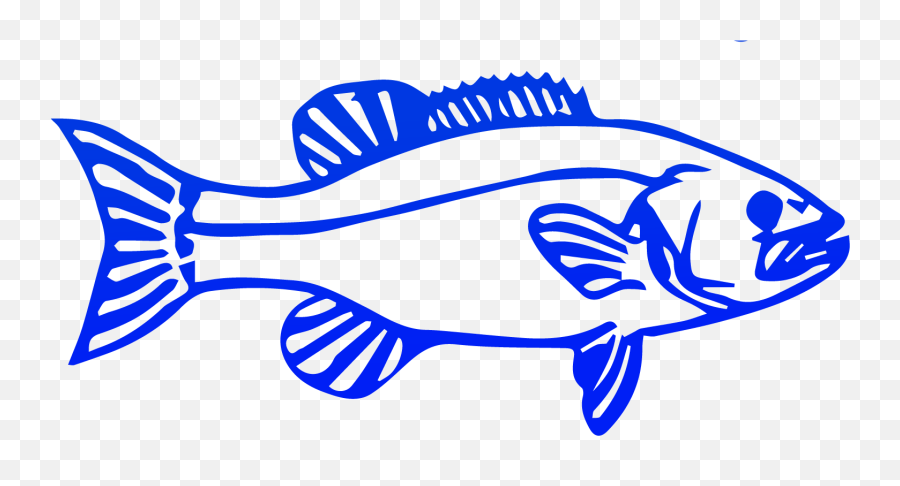 Download Fish Download Png - Election Full Size Png Image Fish Election Symbol Emoji,Election Emoji