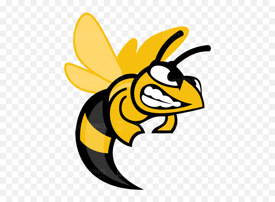 Angry Bee Clipart Png - Suny Broome Community College Emoji,Bee Emoji Transparent