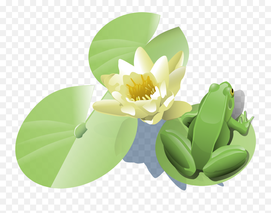Frogs Clipart Flower Frogs Flower - Lily Pad Clip Art Emoji,Lily Pad Emoji