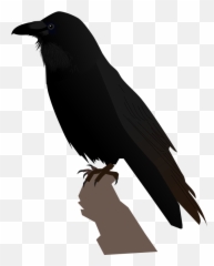 Common Raven - Svg Emoji