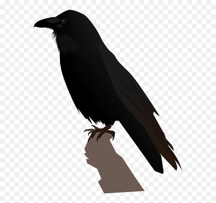Common Raven - Svg Raven Emoji,Raven Bird Emoji
