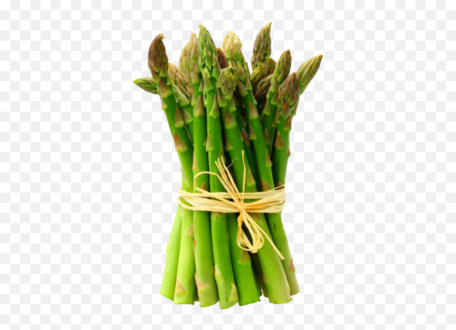 Free Png Images - Dlpngcom Asparagus Transparent Background Emoji,Asparagus Emoji