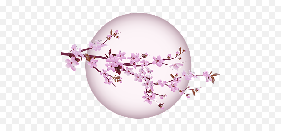 800 Free Japan U0026 Japanese Illustrations - Pixabay Cherry Blossom Discord Profile Emoji,Sakura Flower Emoji