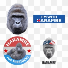 Free Transparent Png Images - Harambe President Emoji,Harambe Emoji