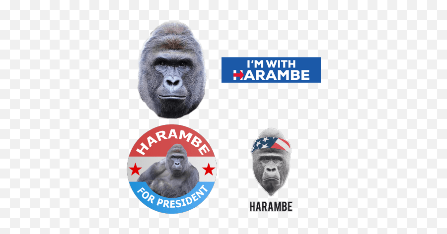 Free Transparent Png Images - Harambe President Emoji,Harambe Emoji