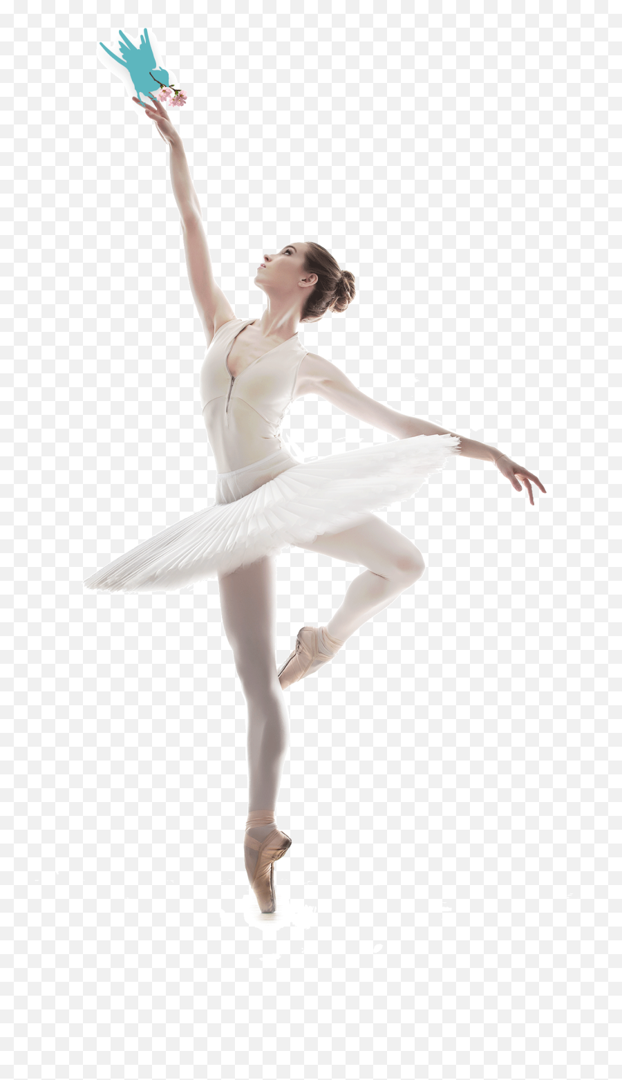 Ballet Dancer Png - Mouvement De Danse Classique Emoji,Male Dancer Emoji