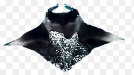 Stingray - Gentoo Penguin Emoji,Stingray Emoji
