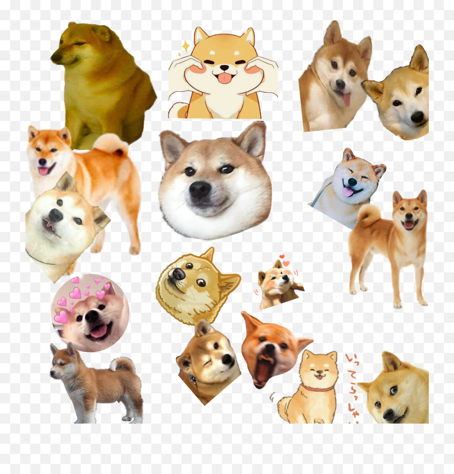 Image By T R Y N A H I T 1 0 0 0 H E R E - Akita Emoji,Shiba Inu Emoji