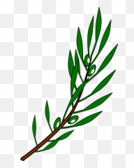 Olive Branch Drawing - Clipart Olive Branch Transparent Background Emoji,Wu Tang Emoji